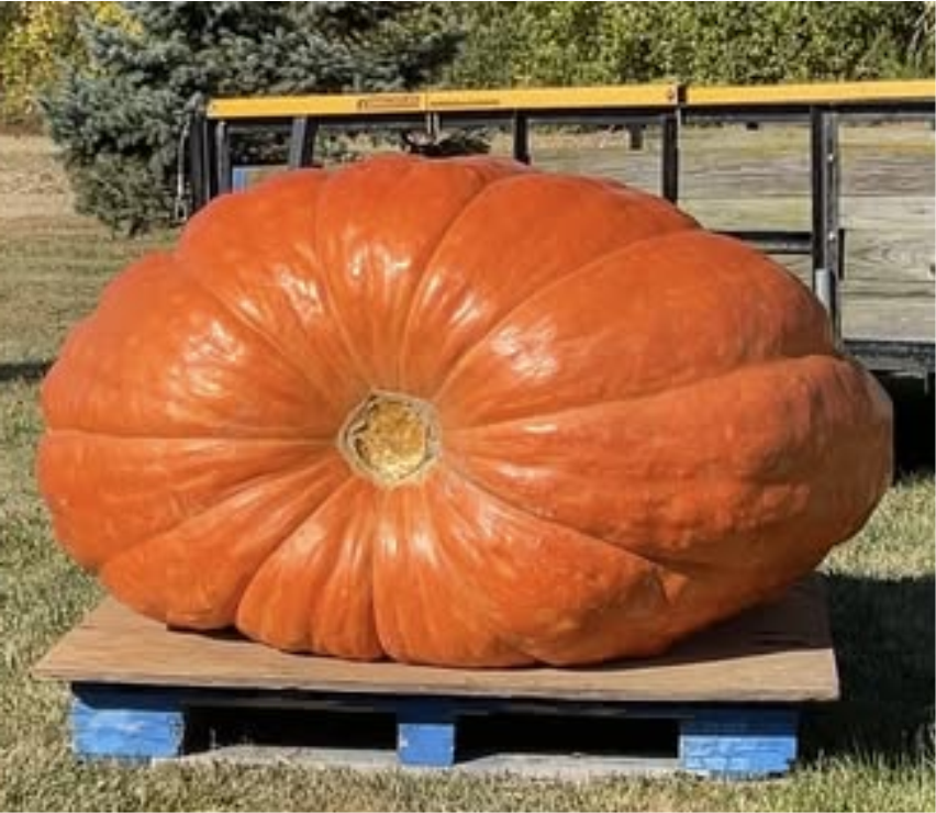 From Tradition to 1,311 Pounds: How One Indiana Grower Produced the State’s Biggest Pumpkin