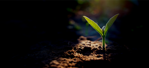 HardyGro Branded Products