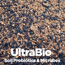 Load image into Gallery viewer, UltraBio - Granular, Soil Microbes, Humic Acid, 2lb Shaker
